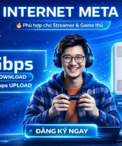 Internet Meta Fpt