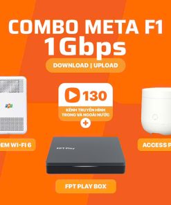 combo meta f1 fpt