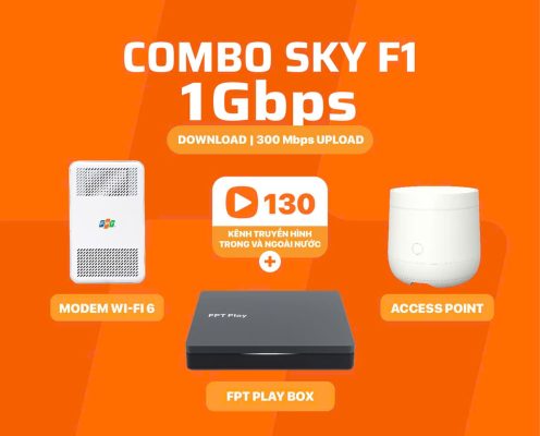 combo sky f1 fpt
