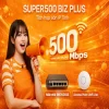 Super 500 Biz Plus Fpt