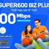 super600 biz plus fpt Super600 Biz Plus Fpt